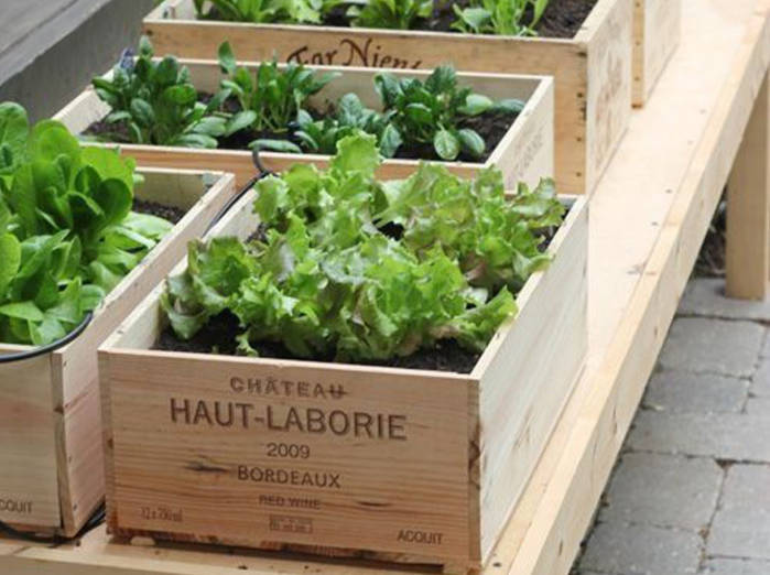 je-veux-un-potager-sur-mon-balcon