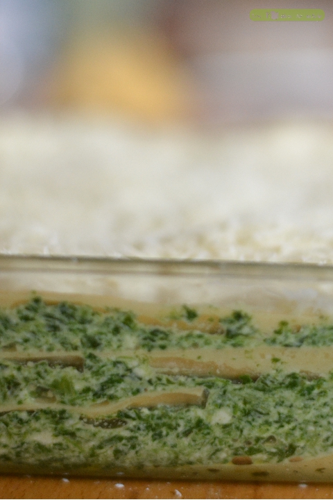 lasagne-brousse-epinard-1