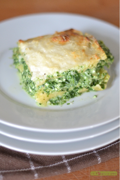 lasagne-brousse-epinard-2