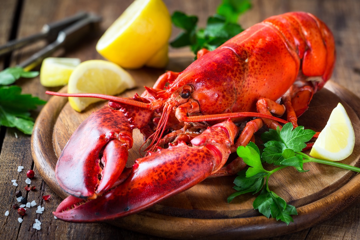 Comment cuisiner un homard Un guide facile pour cuire le homard à l